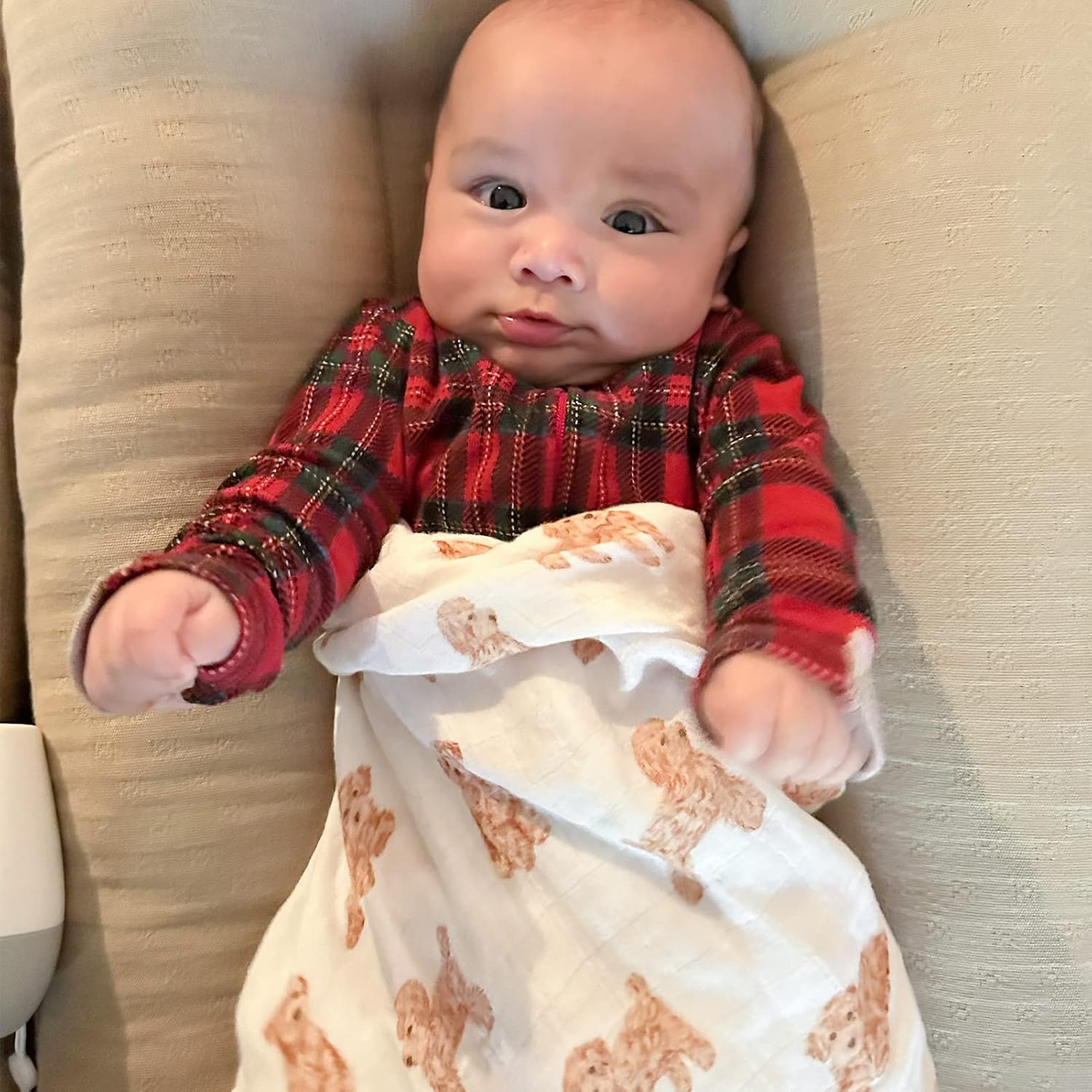 LifeTree Baby Swaddle Blankets Dog, Bamboo Cotton Muslin Swaddle Blankets Boys Girls Swaddling Wrap Receiving Blanket Neutral for Newborn, Lightweight Large 47" x 47", Poodle Puppy : Baby