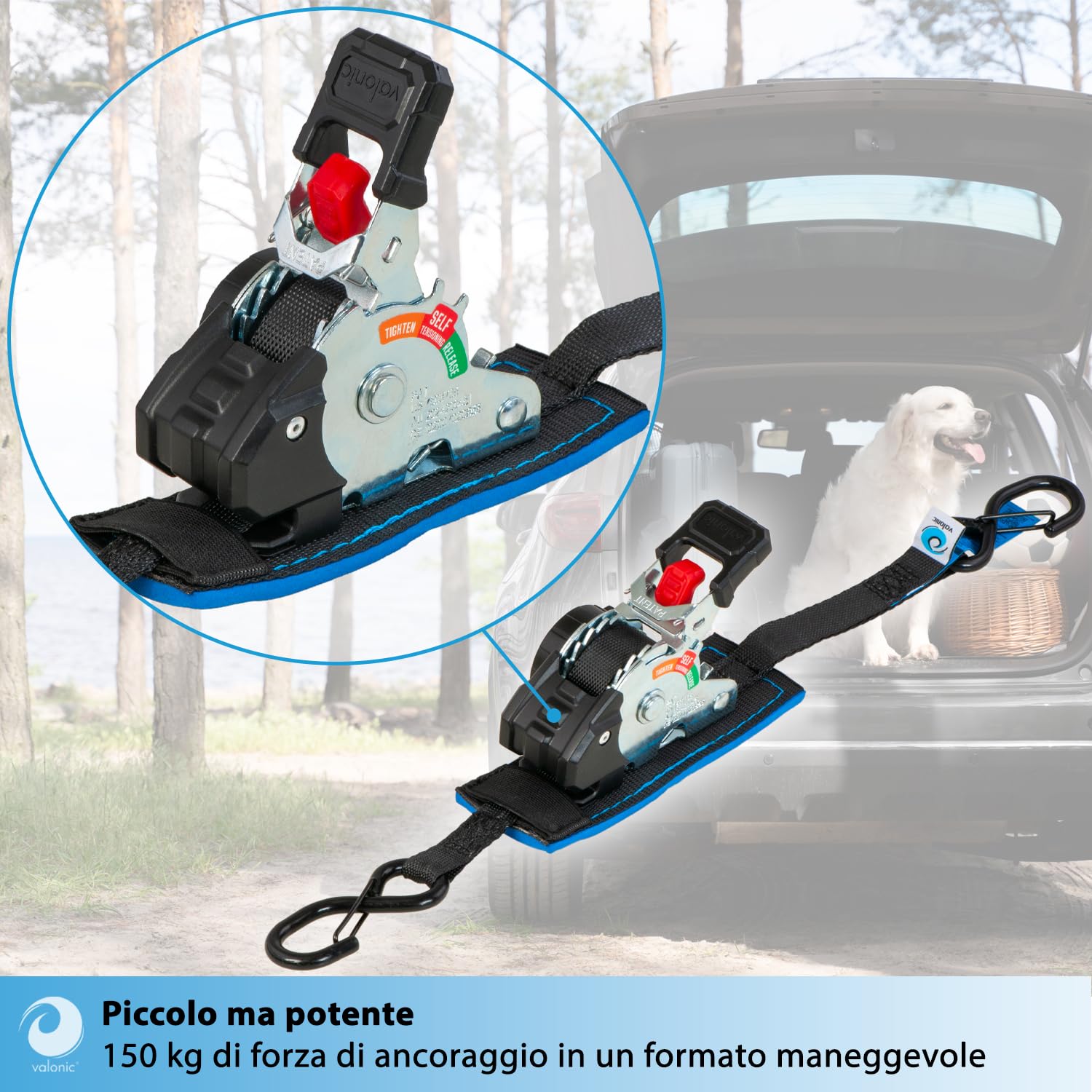 valonic FOX 2 m, mini cinghie a cricchetto, per fissaggio in furgone, set da 2, 150 kg forza di serraggio, 19 mm, cricchetto gommato