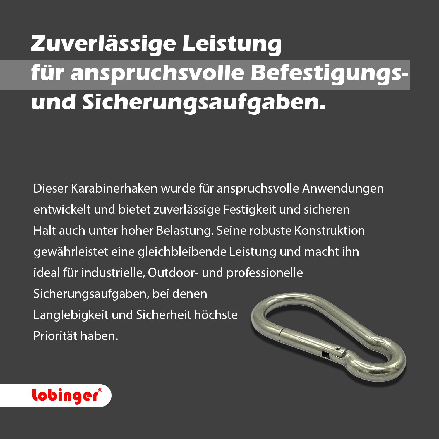Karabiner Schnapphaken - Edelstahl V2A Extra Stark Hochbelastbar Schwerlast Karabiner - DIN 5299 Federhaken Werkzeughaken Outdoor Boot 50 Stück Set