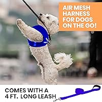 Vista 5 de MITA Juego de arnés y correa para perro, arnés para cachorro, arnés para gato, cómodo arnés para perros grandes y pequeños, transpirable y de malla
