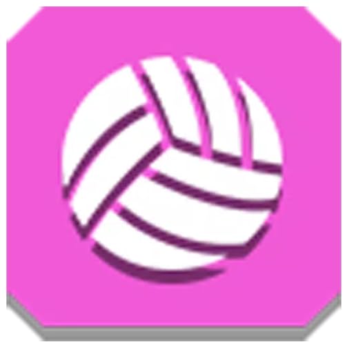 Volleyball New Arena Spike Extreme Hard Volleyball Game