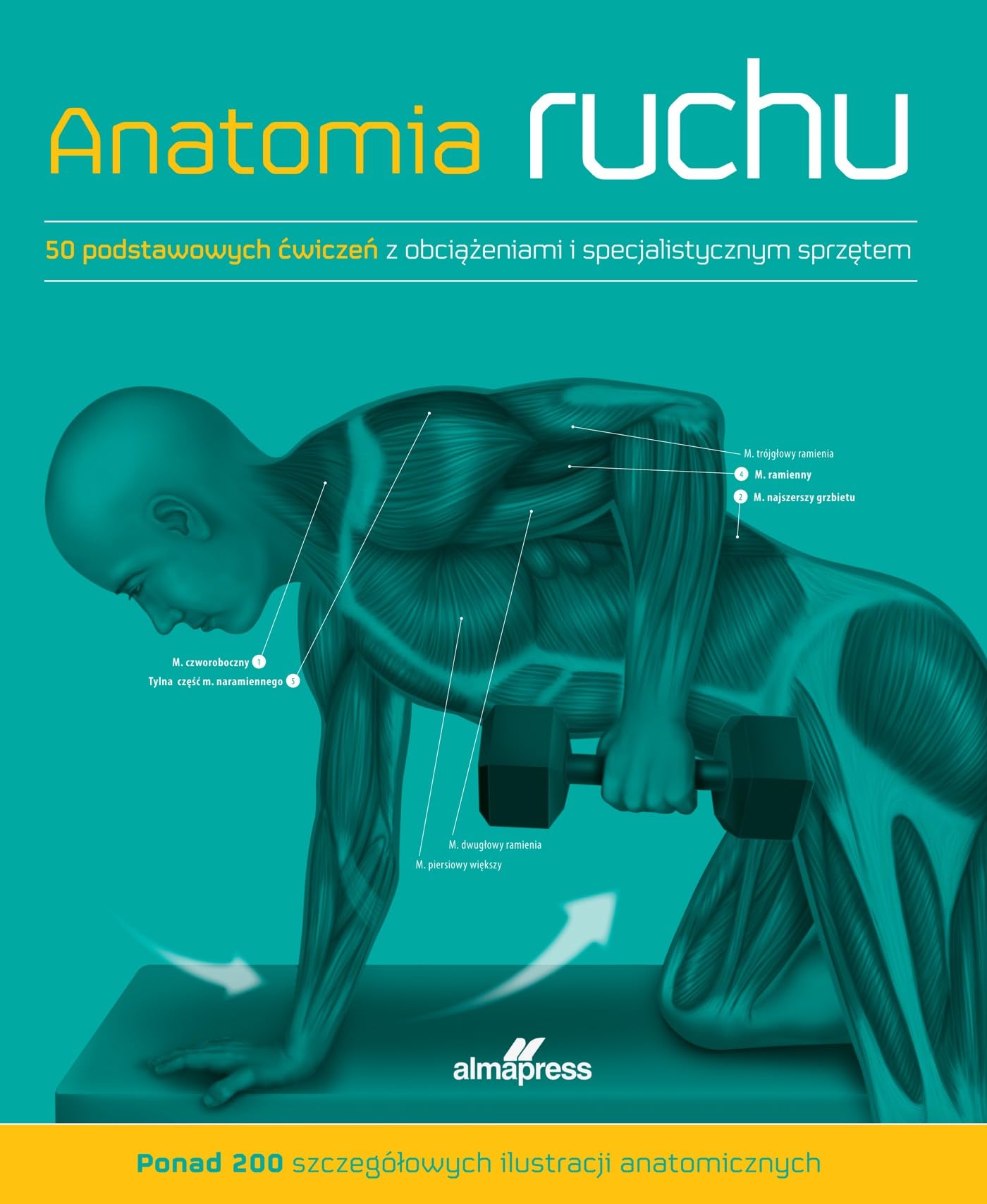 Anatomia ruchu: Podręcznik ćwiczeń
