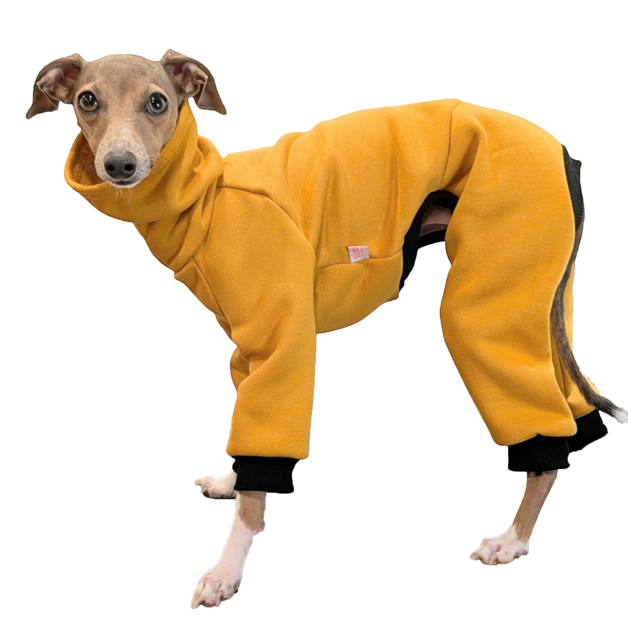 D Doggy Star Italian Greyhound Clothes Stretchy Fleeced Lining Simple Onesie Whippet for Dog Coat (2XL,Simple Mustard) โ image 1