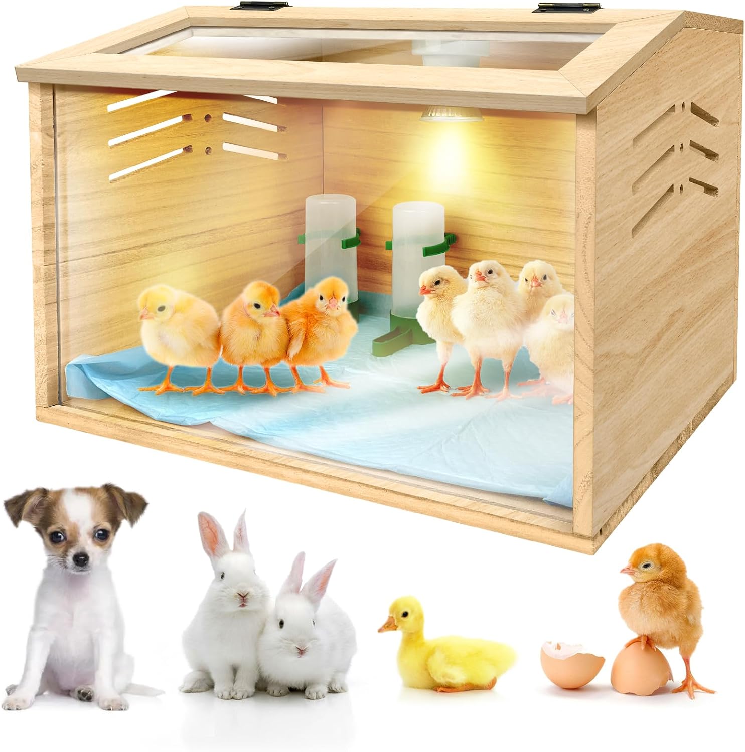 Chicken brooder Box,Chick brooder,brooder Box for Chicks,Small Chicken coop,Baby Chicken Supplies,Chick brooder Box,Quail cage,Quail coop,Measures Approximately 15.7 X 12 X 12 inches