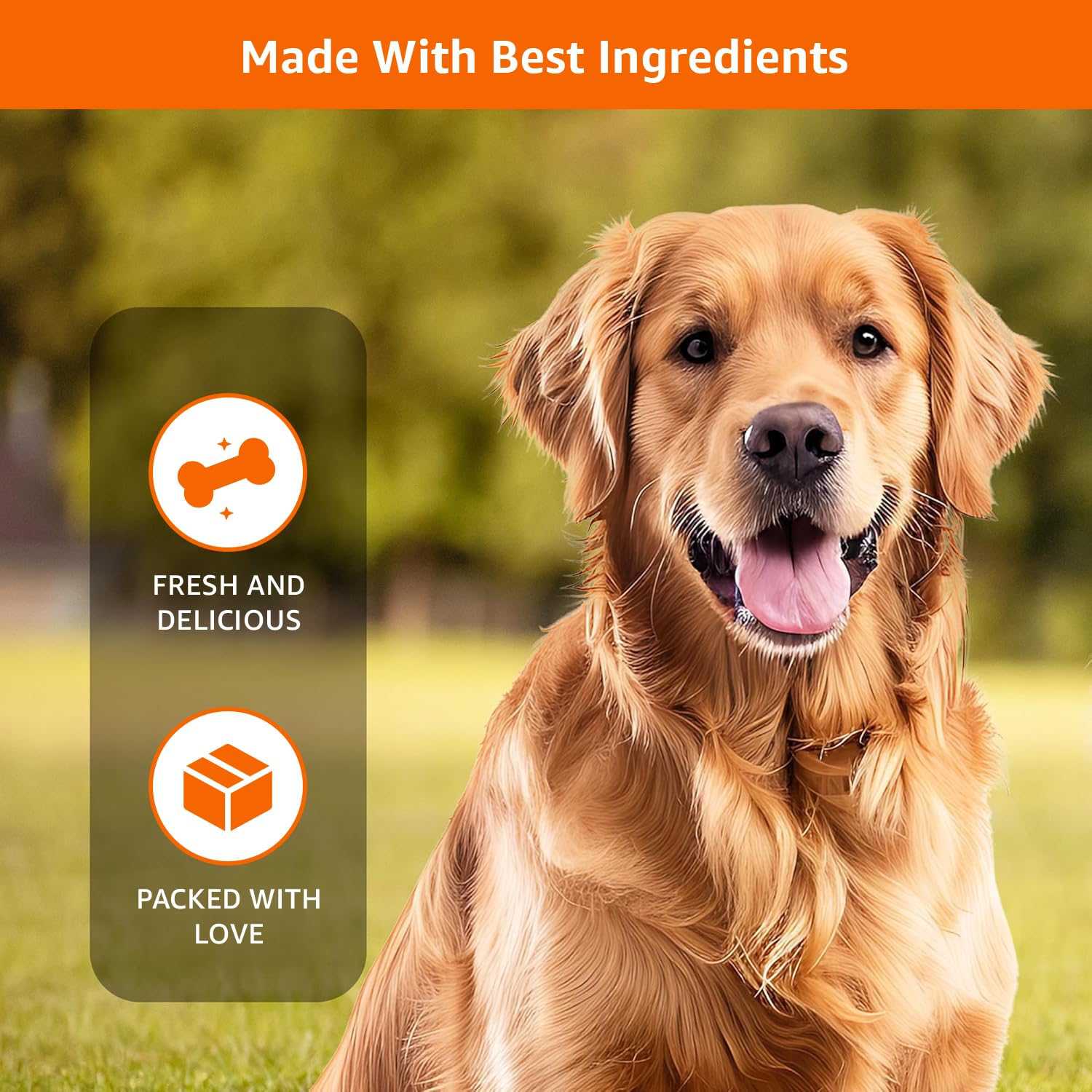Amazon Basics Dog Calcium Bones | for All Breeds | Milky Bones | 800 g | All Life Stages 2