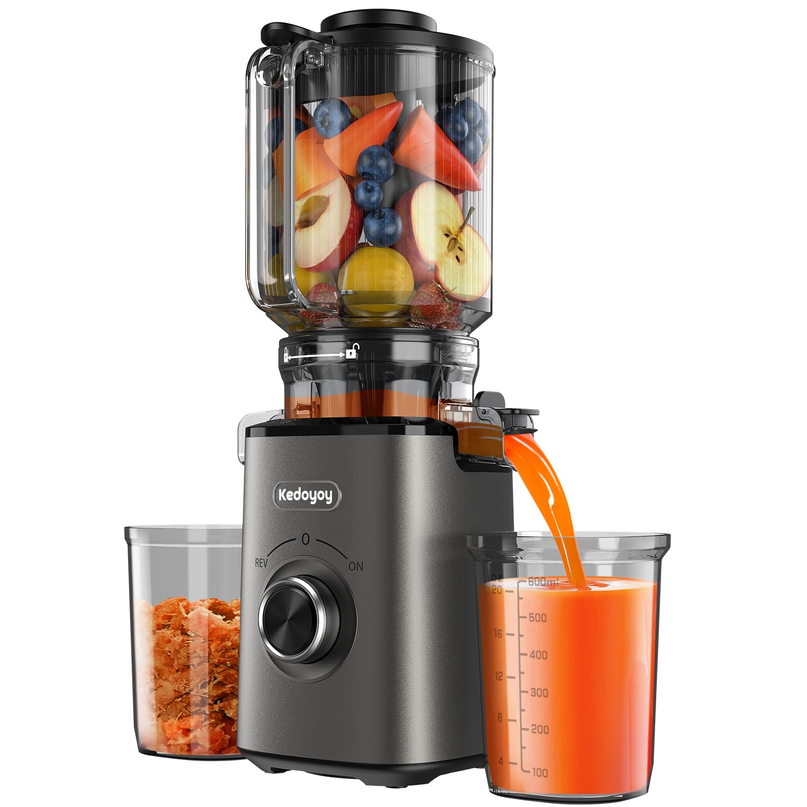 Entsafter Gemüse und Obst Testsieger, Slow Juicer mit 130 MM XL-Einfüllschacht, 600 mL Saftbehälter, Elektrische Juicer Machine für Familien, Gesundheitsbewusste