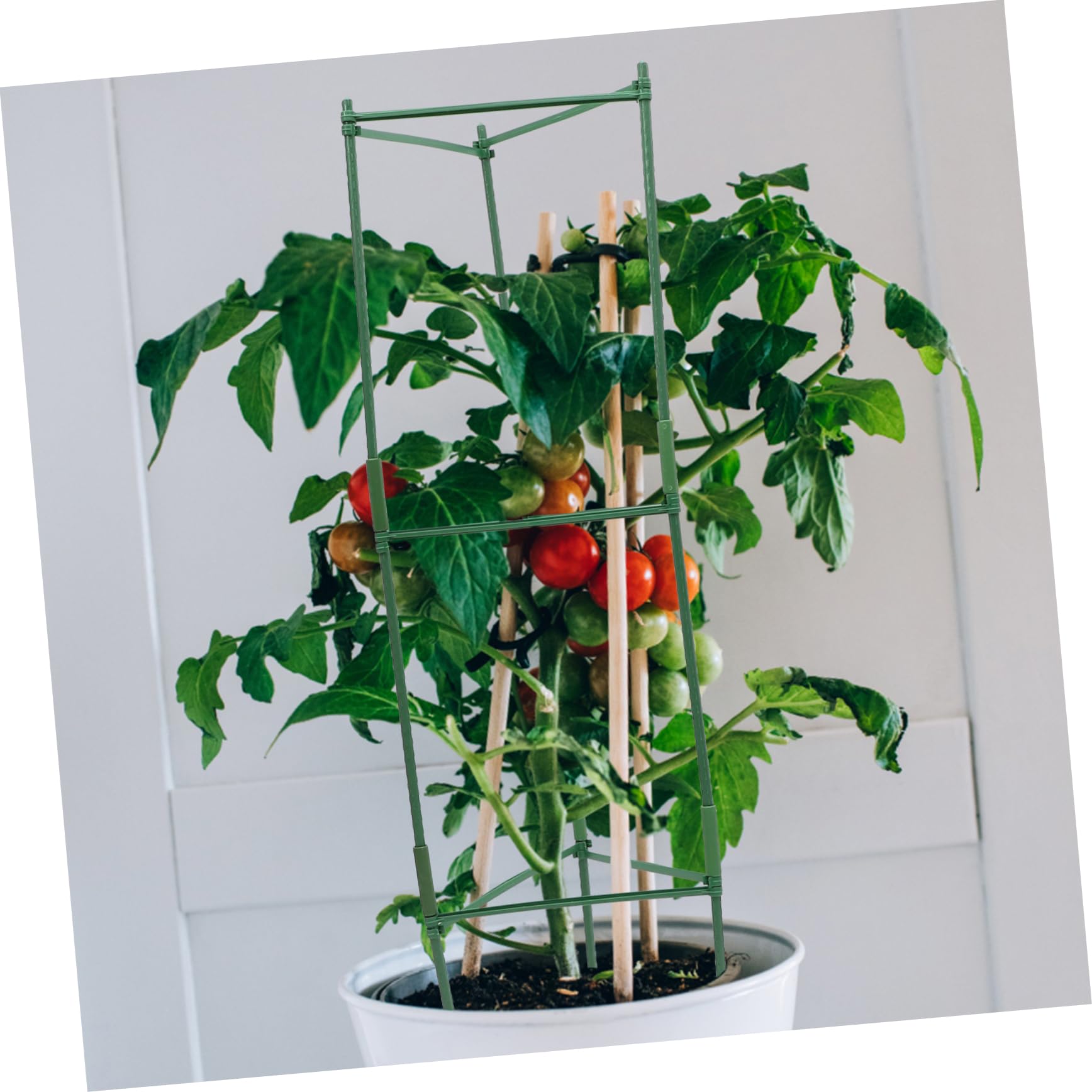 Outsunny traliccio in acciaio inox con supporto triangolare 223x223x223 cm Arco di rose per piante rampicanti Traliccio da giardino per piante da appartamento Traliccio per ortaggi Fiori Verde
