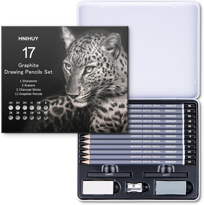 HNIHUY Sketch Drawing Pencils Set, 17 Pcs, Graphite Pencils (8B-4H) | Sketch Pencils for Drawing Art, Erasers and Sharpener, Art Drawing Pencil for Artists Beginner Sketching