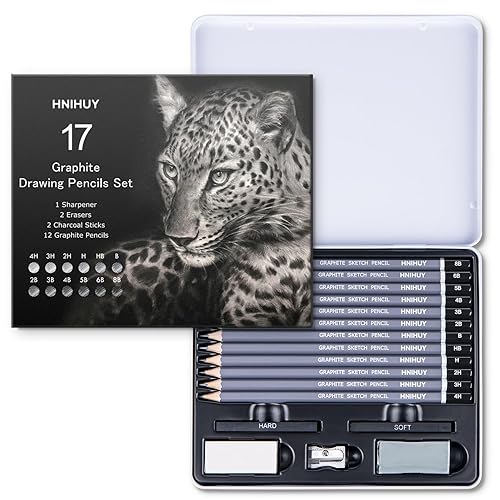 HNIHUY Professional Sketch Pencils Set, 17 Pcs, Graphite Pencils (8B-4H), Erasers and Sharpener, Art Drawing Pencil for Artists Beginner Sketching