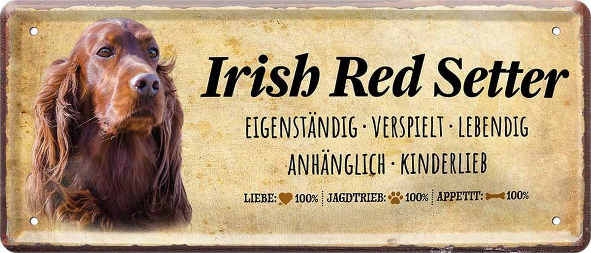 Retro Blechschild „Irish Red Setter“ – Lustiger Hundesteckbrief, 28x12 Cm – Geschenk Für Hundefreunde
