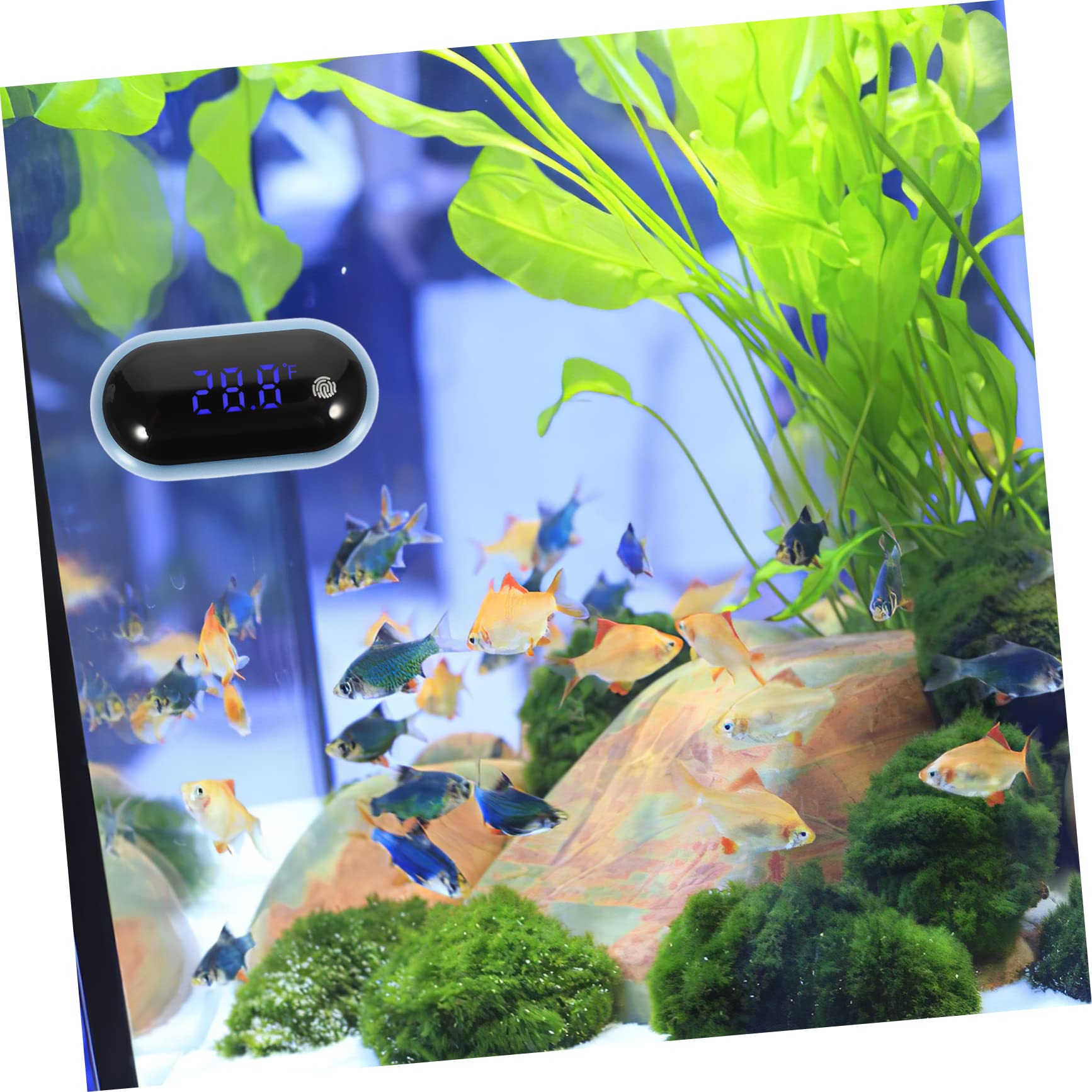 VANZACK 3piezas Digital De Acuario Portátil Medidor De Temperatura Para Peceras Pantalla Led Herramienta Precisa Para Tanques De Agua y Acuarios Para Hogar y Aficionados Los Peces