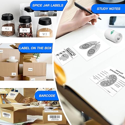 Miniatura 5 de DesignJet T210 Impresora trazadora de gran formato de 24 pulgadas, con diseño moderno de oficina (8AG32A)