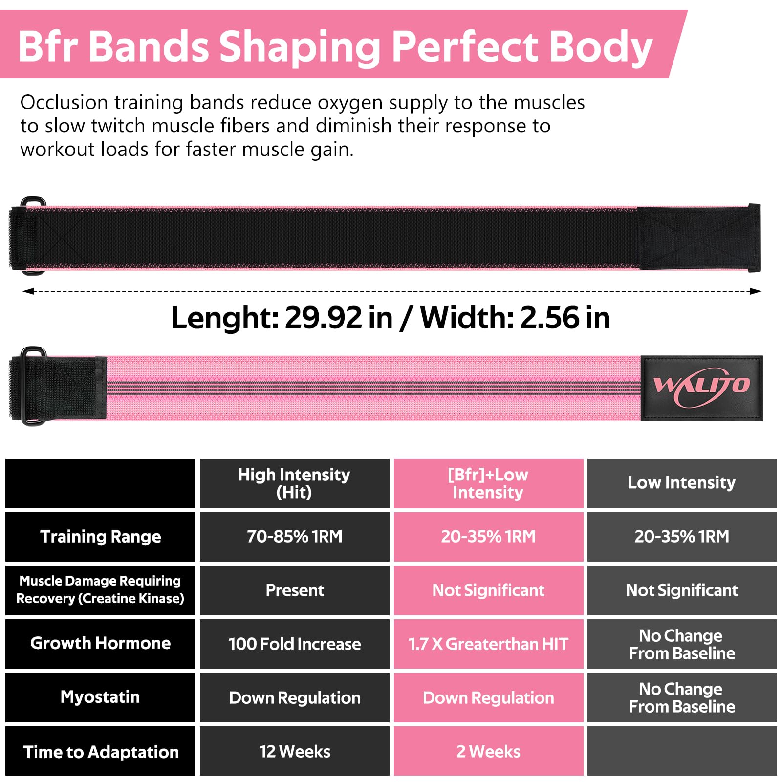 BFR - Bandas de glúteos para mujer, bandas de restricción de flujo sanguíneo con plan semanal para piernas, construcción de glúteos y cadera, bandas de oclusión para entrenamientos, las mejores bandas