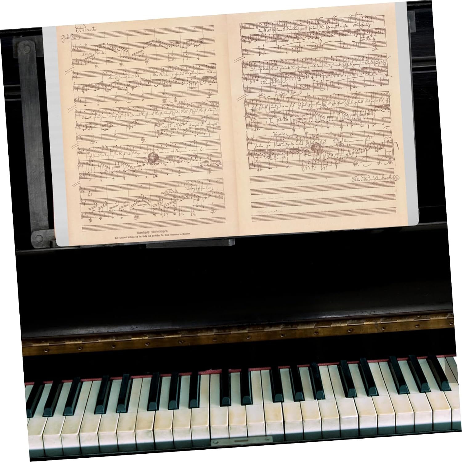 Toddmomy A3 Music Sheet Folder Plastic Storage Binder for Piano and Choir 20 Pages Sturdy Sheet Protectors for Concerts and Band Performances