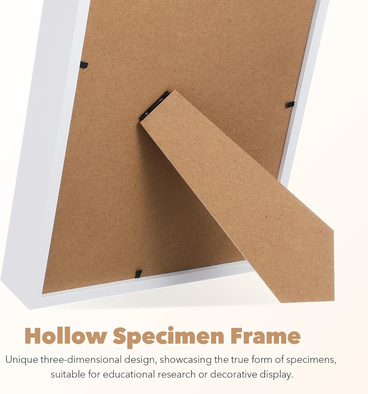 2 Pcs Hollow Shadow Box Frames 8x10 Display Cases for Dried Flowers and Memorabilia, 3D Specimen Display with White Wood Frame for Home Décor and Craft Keepsakes