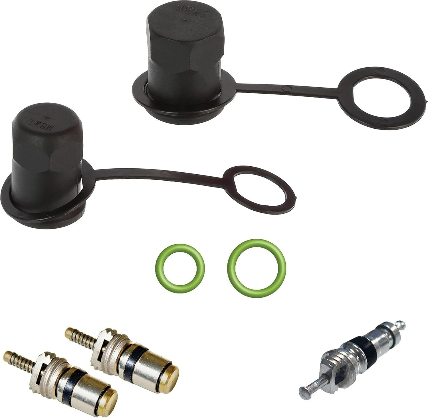 Cap & Valve KIT (See Application Guide)