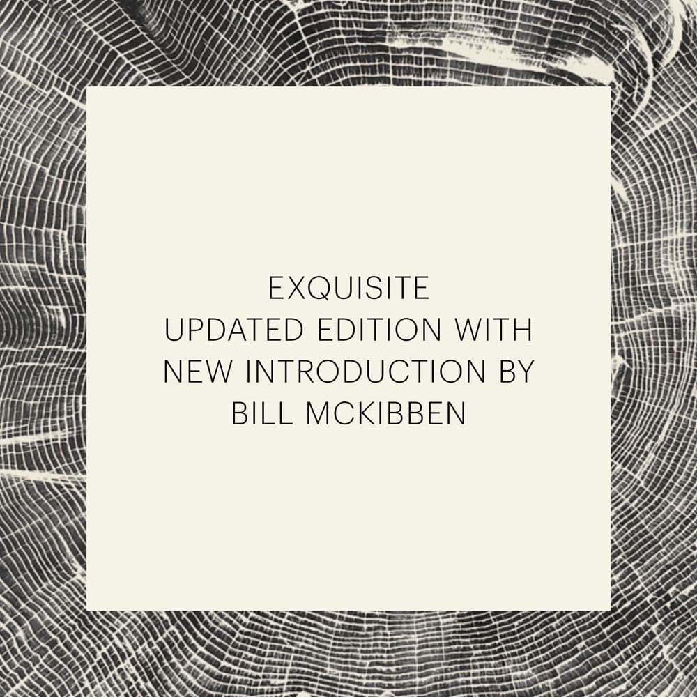 Woodcut (Updated Edition) /anglais