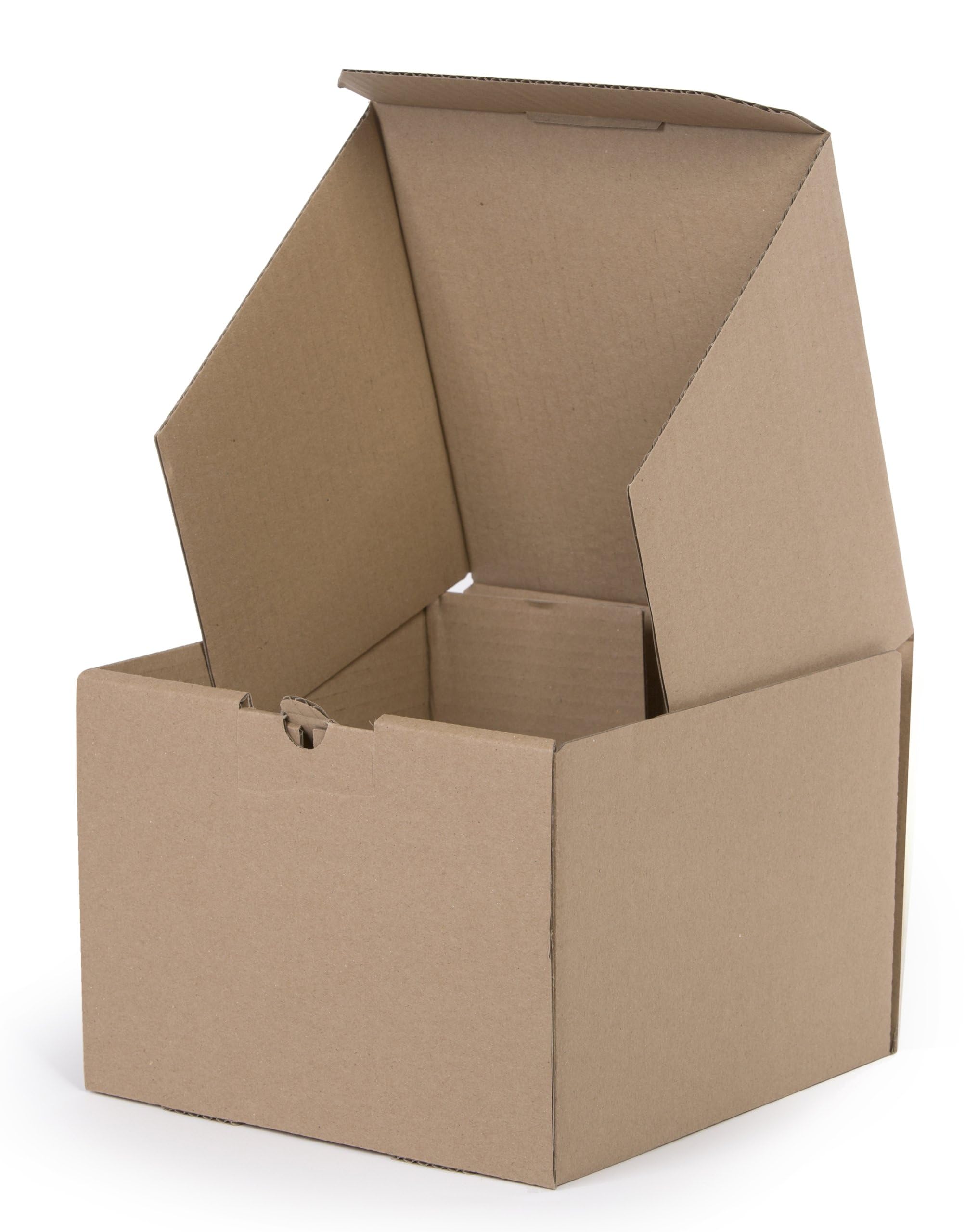 250 Stück Maxibriefkartons 200x200x100 mm Innenmaß Kleiderbox 1-Wellig braun NEU