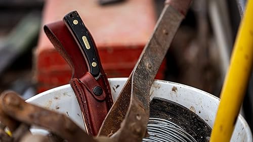 Miniatura 5 de Old Timer 158OT Guthook Skinner - Cuchillo de hoja fija SS de alto carbono de 7.3 pulgadas con hoja de 3.5 pulgadas y mango de corte de sierra para