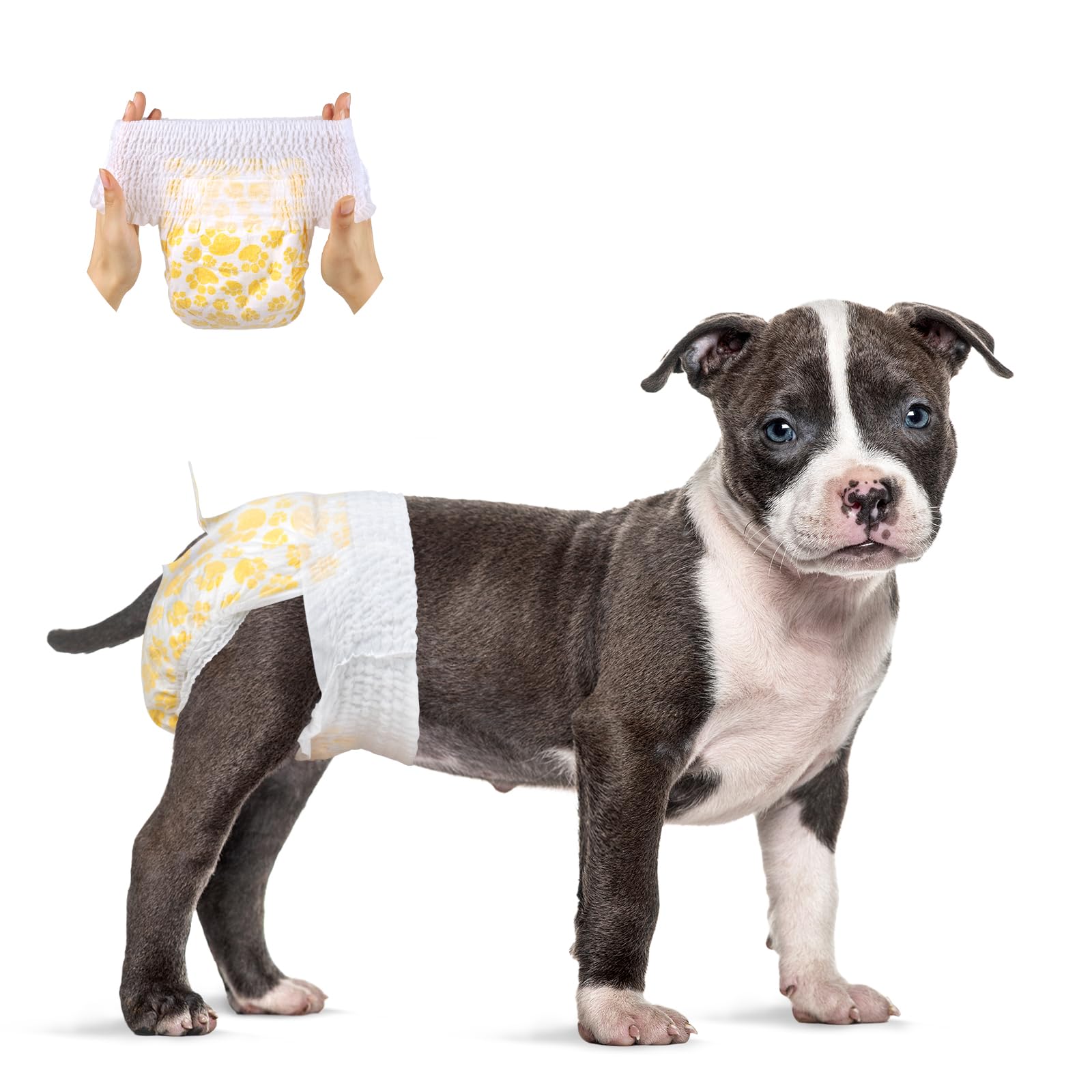 Flying Paws Pannolini Cane USA e Getta Femmina con Elastico in Vita， M-30 | Super assorbenti，Prova di Perdite，Disponibili in varie misure，Completamente Avvolti,Elastico in Vita