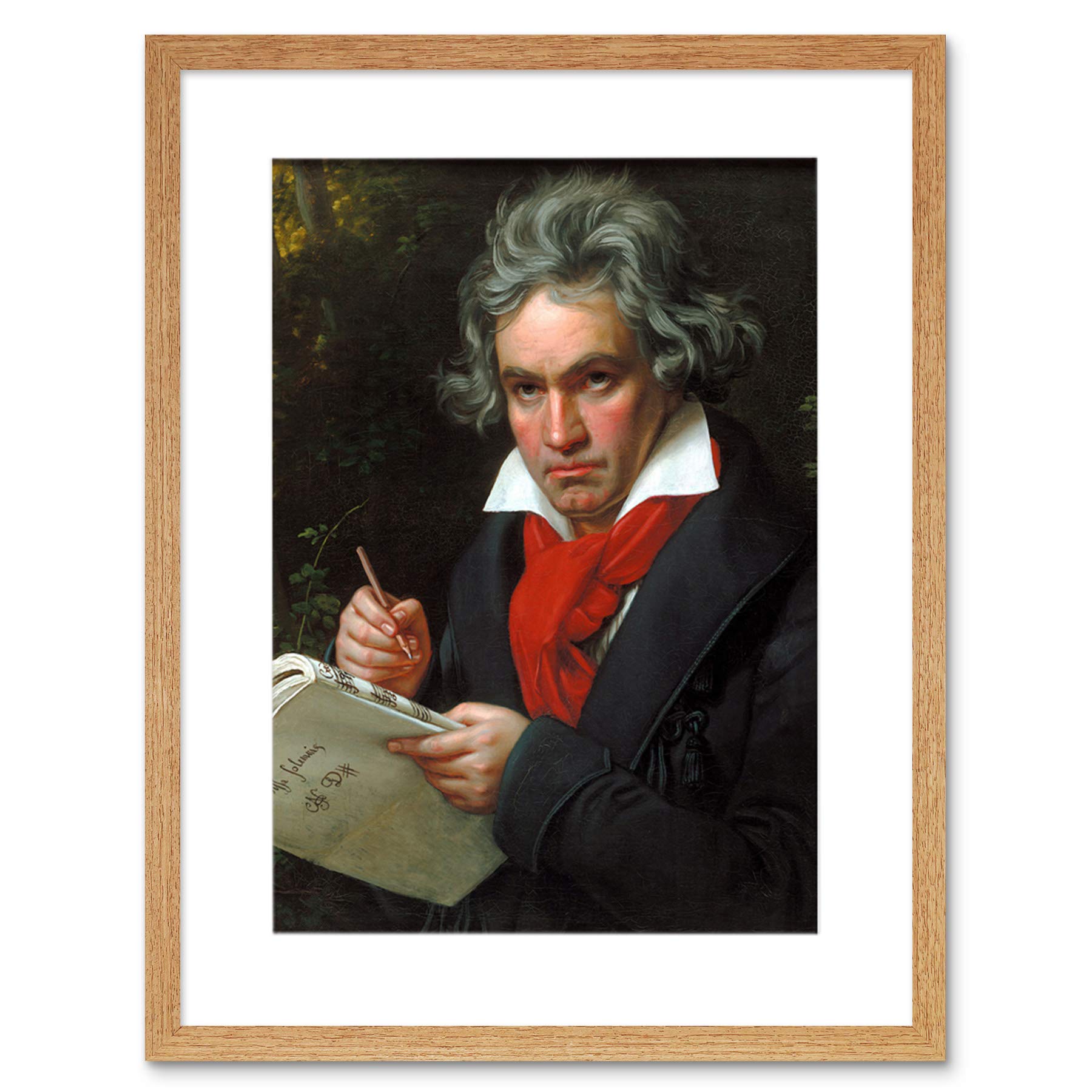 Wee Blue Coo Stieler Composer Ludwig Van Beethoven Framed Wall Art Print