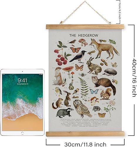 Miniatura 104 de XIAOAIKA Póster de botánica vintage con marco de madera, tabla de plantas venenosas antiguas, arte educativo botánico con especies peligrosas, 1