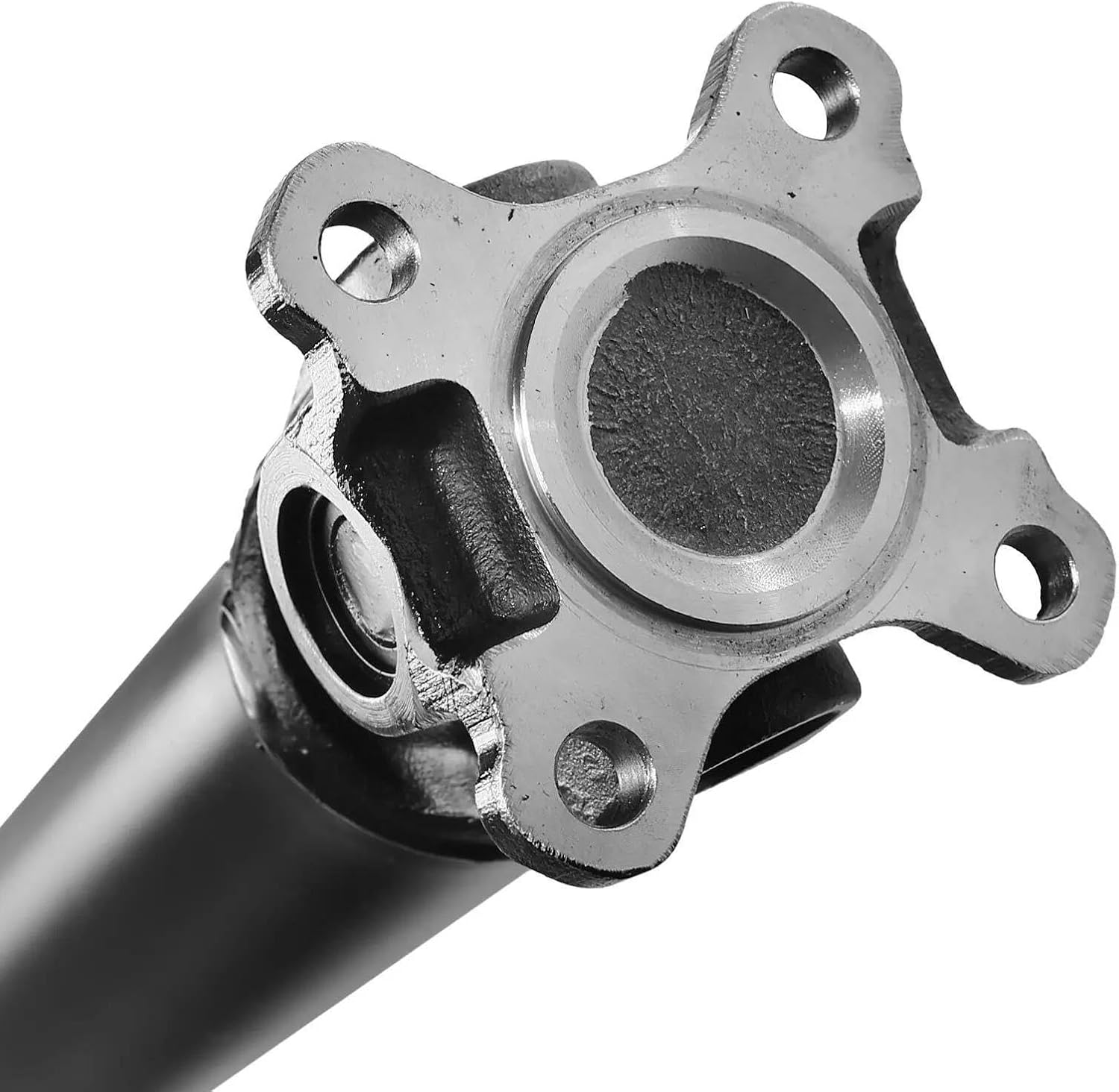 Fender （フェンダー） /ベルト(帯革・胴締・バンド)/F-HC05 32