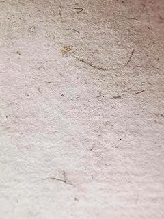 Unbleached Abaca Pulp for DIY Paper Crafts, Hand Paper Making Papermaking, Dry Sheet Form, 100g, 3.5oz