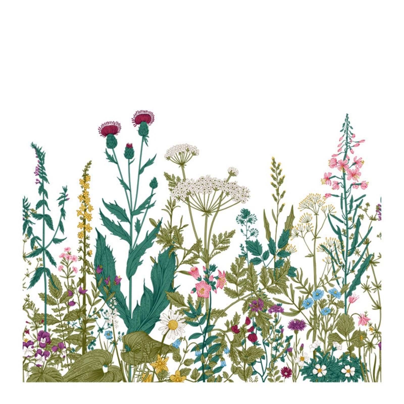 Folia okienna 60 x 100 zielonych roślin, folia do przyciemniania, szyby, wielokrotnego użytku, bez kleju, ochrona prywatności, łazienka, biuro, kuchnia, folia szklana
