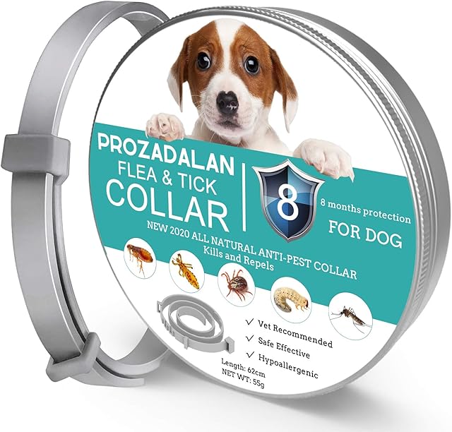 Flea Collar for Dog, 8 Months Protection Dog Flea Treatment, 100% Natural Waterproof & Adjustable Flea and Tick Collar Dogs, Help Puppies, Medium and Large Dogs Effectively Repel Lice, Fleas, Pests
