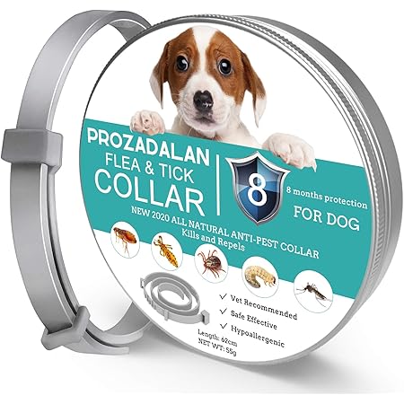 diy dog flea collar