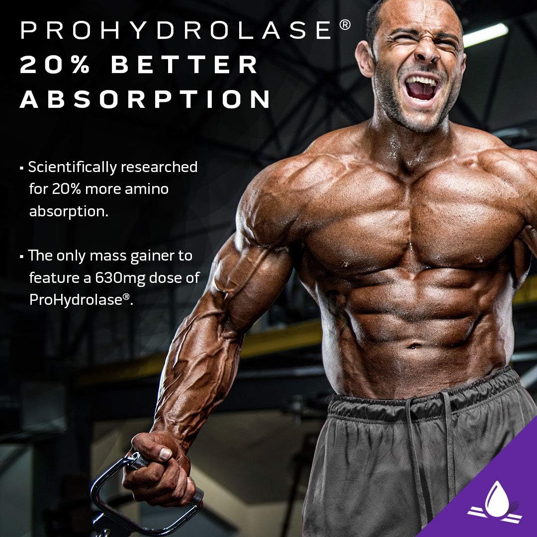 Mass Gainer Protein Powder | MuscleTech Mass-Tech Mass Gainer | Whey Protein Powder + Muscle Builder | Weight Gainer | Protein Powder for Muscle Gain | Creatine Supplements | Cookies and Cream, 7 lbs : Health & Household