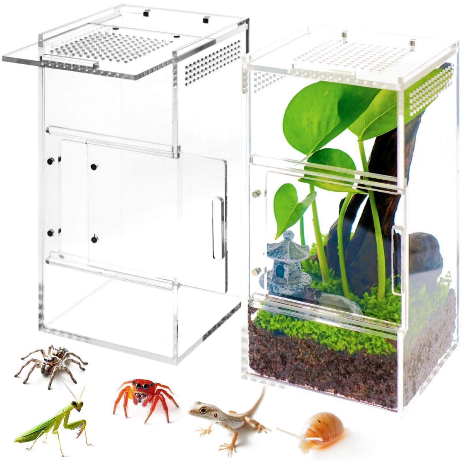 predolo Acryl 360-Grad-Sicht Mini mit Belüftung völlig transparent Acryl für Reptilienhalt, Aufzucht, Size to 1