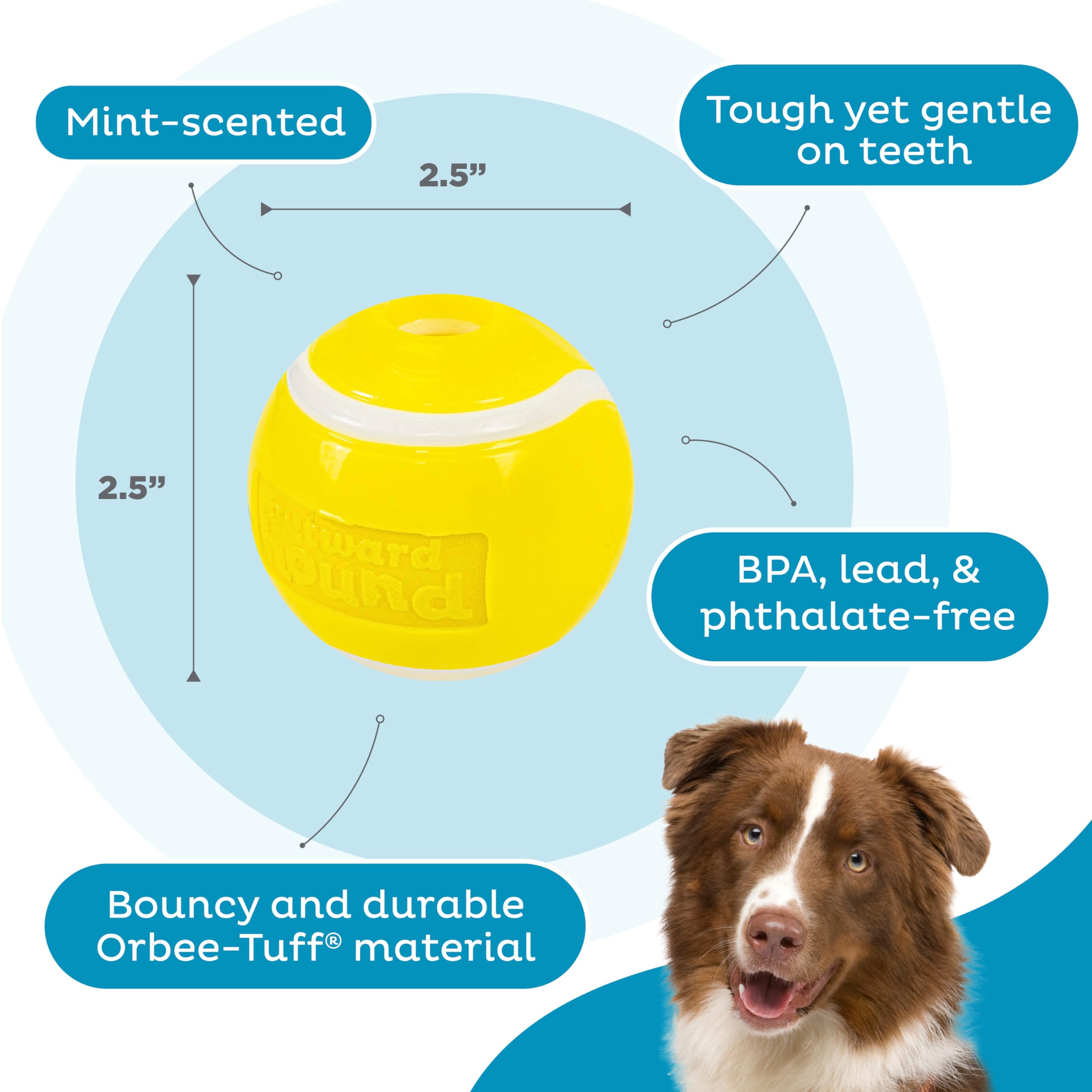 Planet Dog Orbee-Tuff Tennis Ball Durable Bouncy Dog Toy Mint-Scented Tennis Ball for Interactive Fetch Play, Gentle Chewing Activity, and Daily Pet Exercise Use 2