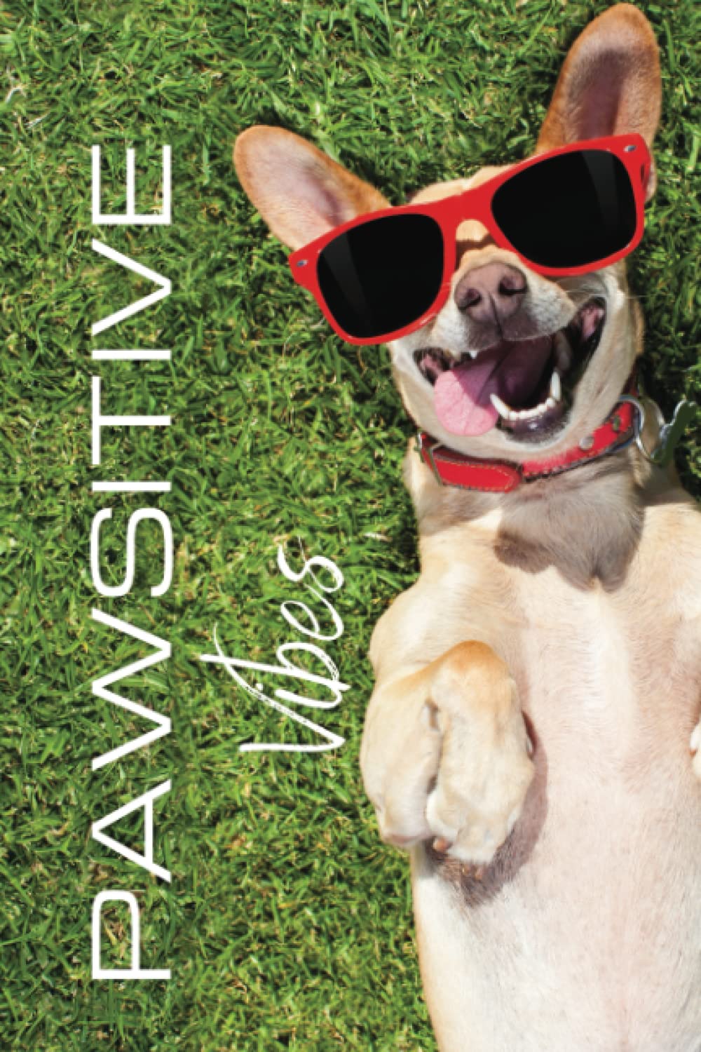 Pawsitive Vibes Paperback Notebook, Journal, Dots Grid: The best Paperback notebooks by Creative Drops