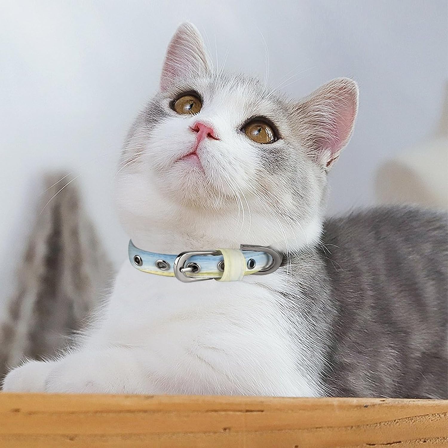 Fun with Flowers and Rabbits Dog Collars Fashion Adjustable Fancy Pet Collar with Buckle Cozy Soft Oxford Cloth Puppy Collars Anti-Fading Cute Cat Collar for Small Medium Animals