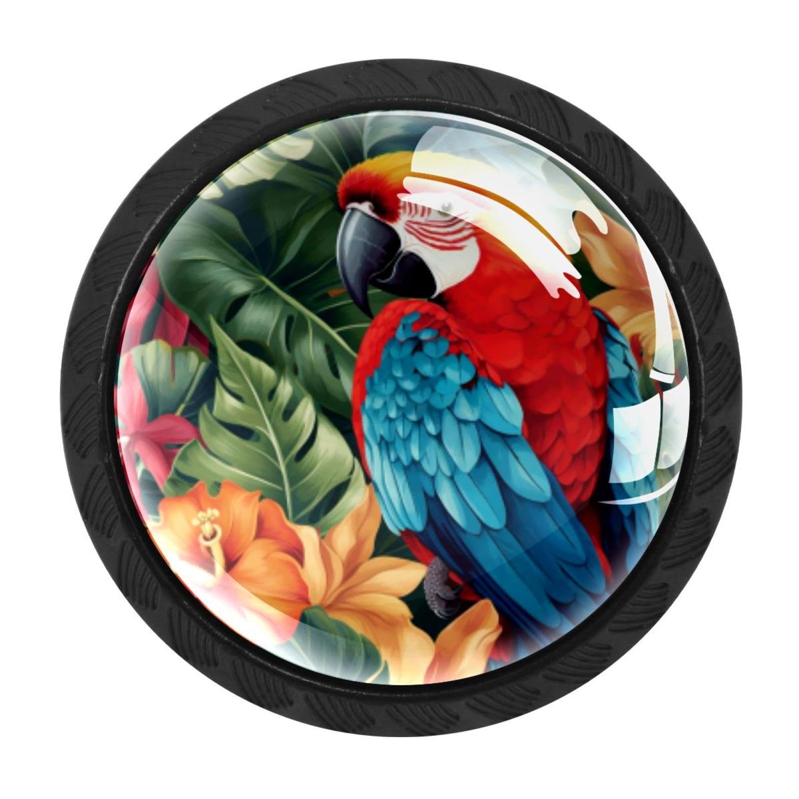 CHENZZZZ 4 Pack Round Cabinet Knobs for Kitchen Bathroom Closet Dresser Cabinets, Parrot