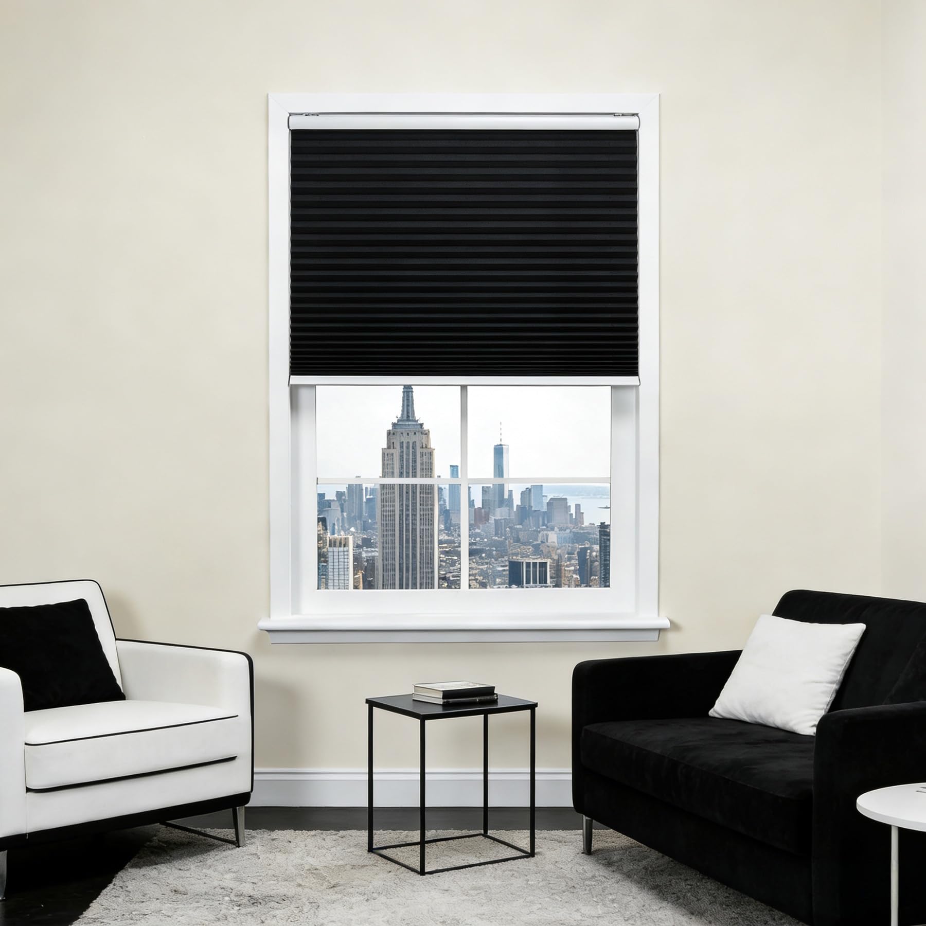 Store Plissé Opaque 50x29 cm Noir pour Fenêtre et Porte