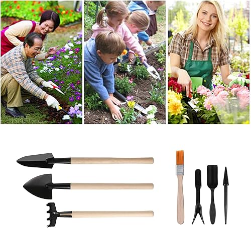 Miniatura 4 de Juego de 13 mini herramientas de plantación de jardín, kit de herramientas de suculentas, herramientas de mano para plantar bonsái de jardín en