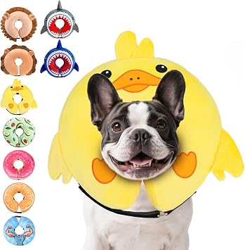 KOOLTAIL Inflatable Dog Cone Collar Alternative After Surgery, Duck M+