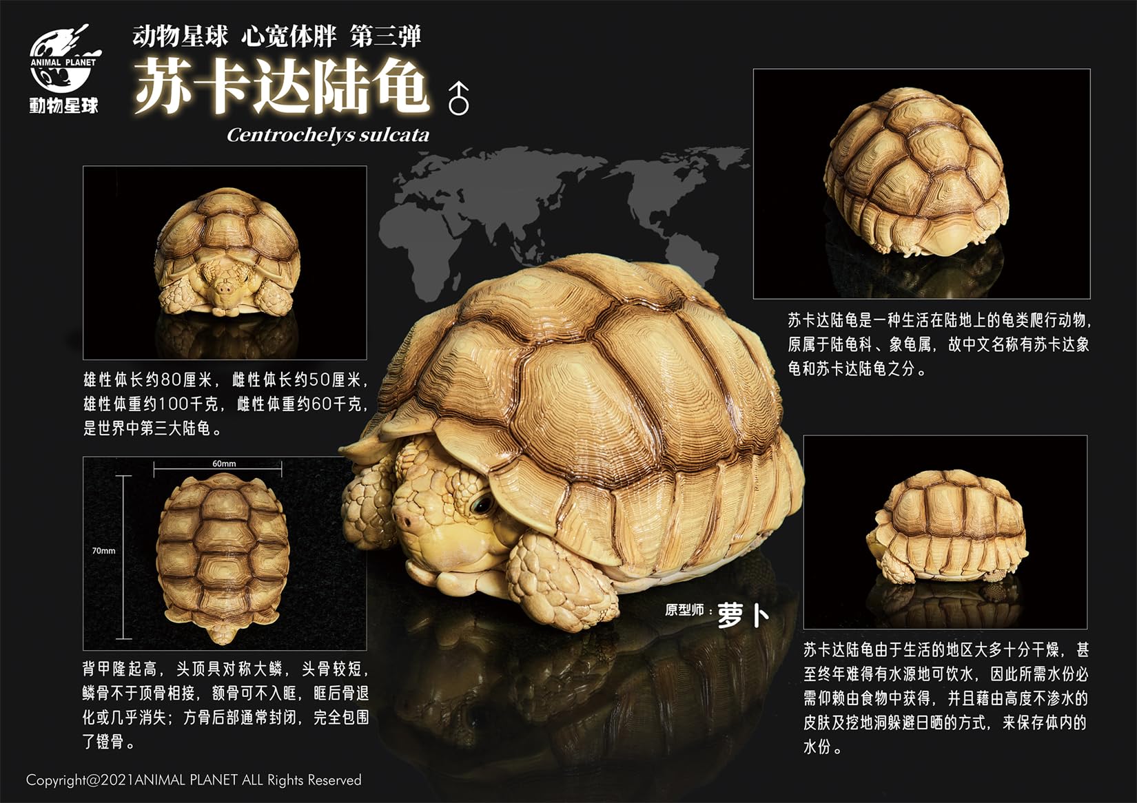 Amazon | BACALYSO | 動物惑星 3.0 カメ 亀 ガチャガチャ ブラインド 