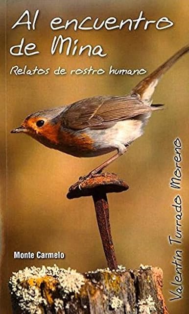Portada de Al Encuentro de Mina: Relatos de Rostro Humano