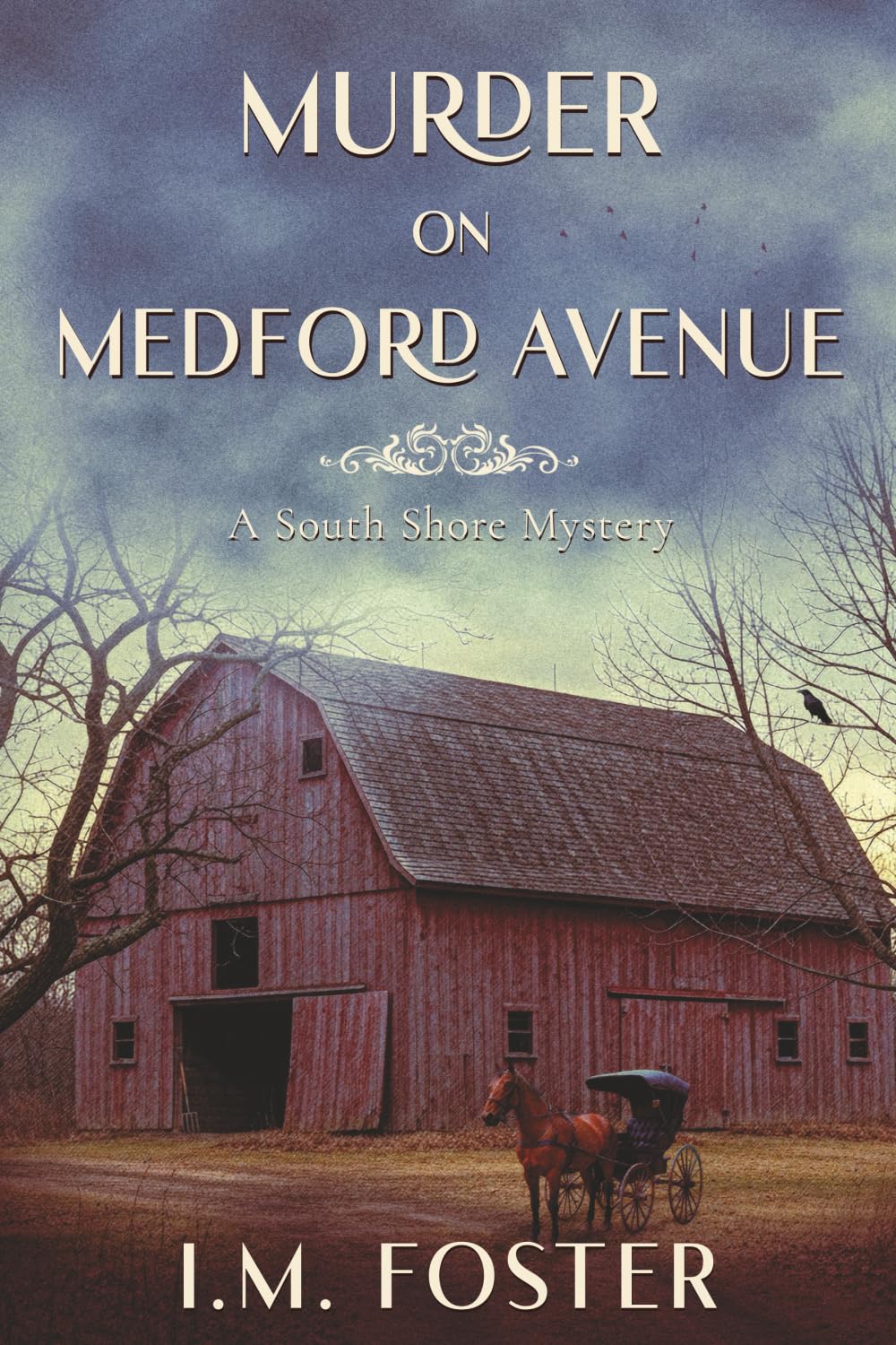 Murder on Medford Avenue: A South Shore Mystery