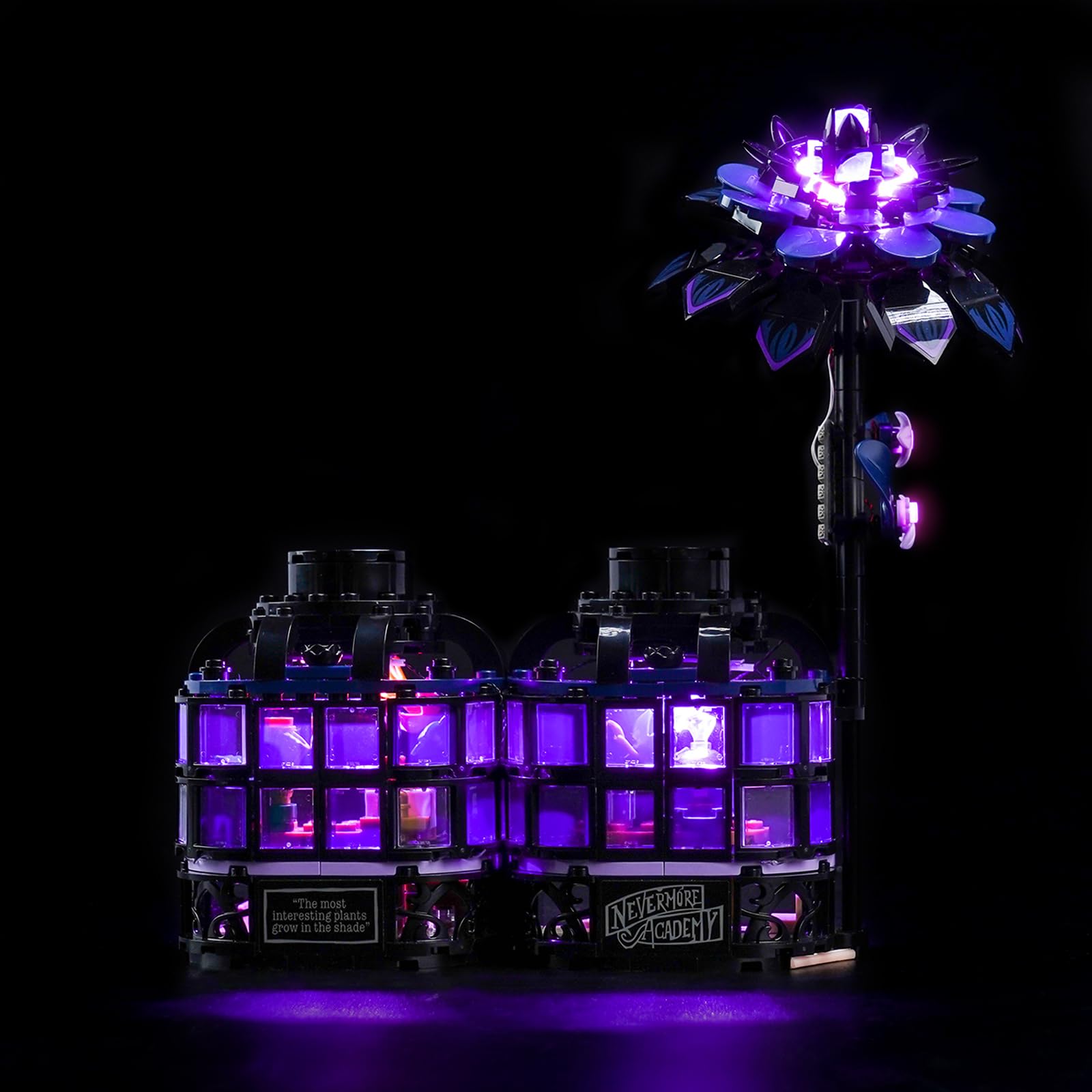 LocoLee Customized Version Led Light Set Compatible with Lego 76784 Black Dahlia Flower Led Decoration Lighting Kit Compatible with Lego 76784 Building Blocks Model,Only Lights Set,No Model - Image 2