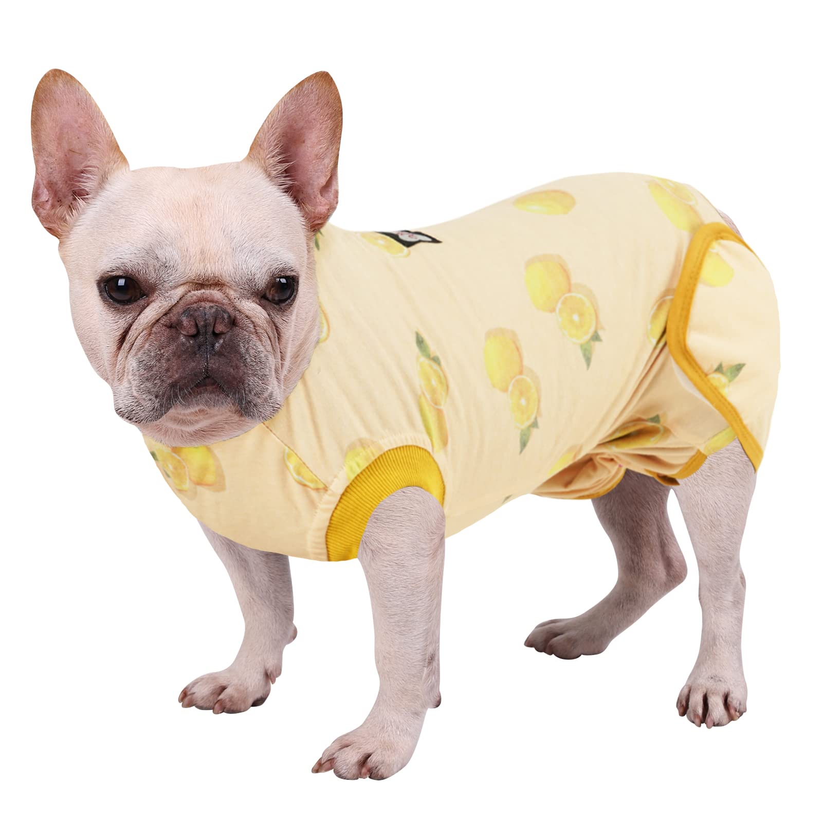 Vanansa Traje de recuperación para Perros después de la cirugía, Traje quirúrgico para Proteger heridas, Mameluco para Perro para cirugía operativa (limón-XS)