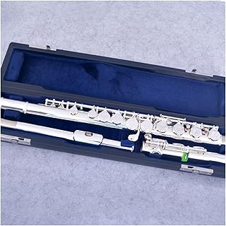 16 Closed C Key Flute Cupronickel Silver Plated Flute With E Key flute instrument
