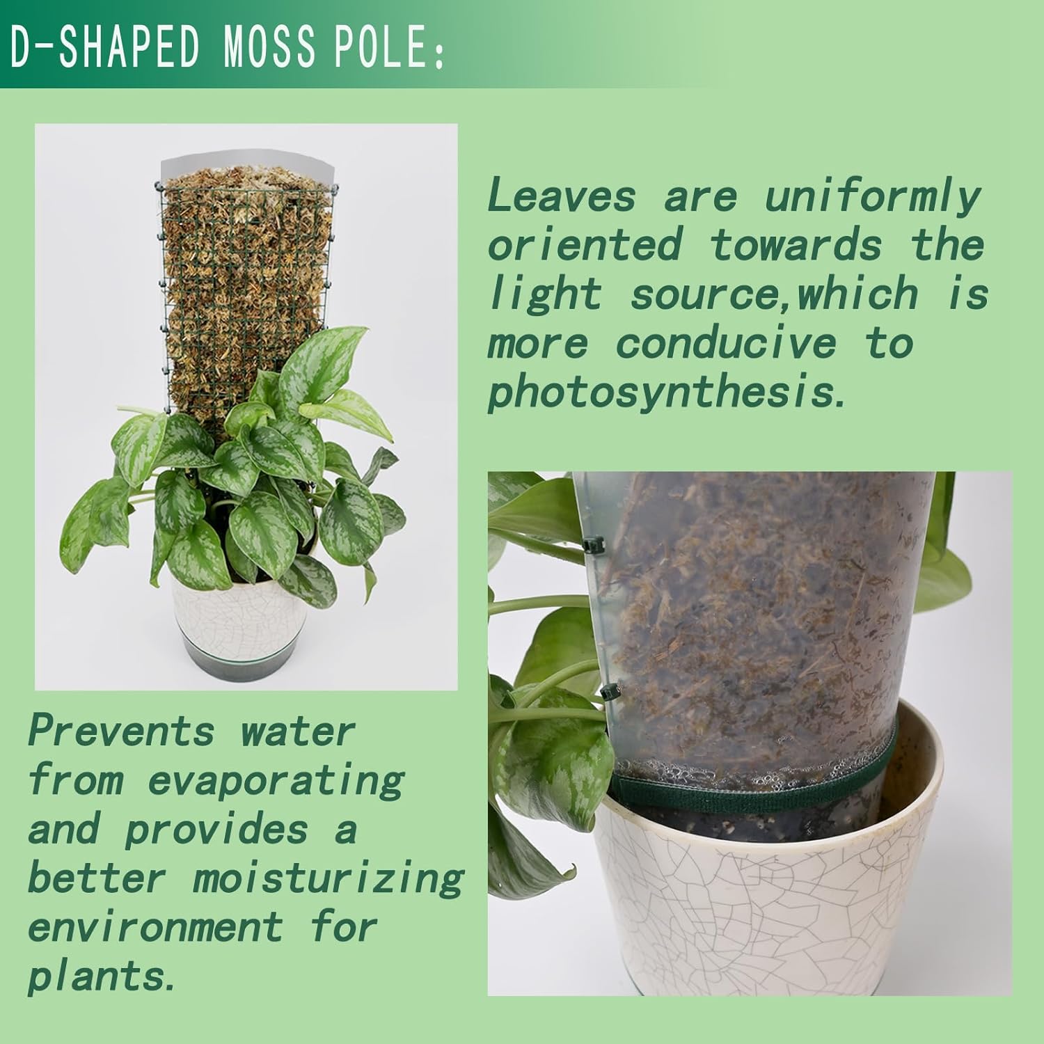 Metal Moss Poles for Climbing Plants, D-Shape Sphagnum Moss Pole Monstera Plant Support for Climbing Plants, DIY Plant Stakes Work with Sphagnum Moss (24ft D-Shaped)