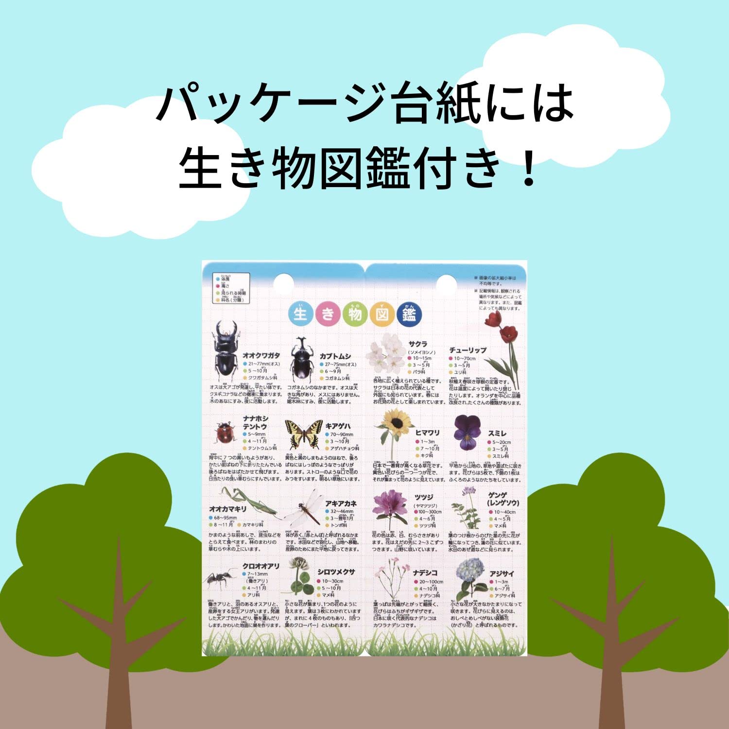 小5おまとめ 家族手帳®B6（月）【ご入金確認後、発送まで最大7営業日（土日