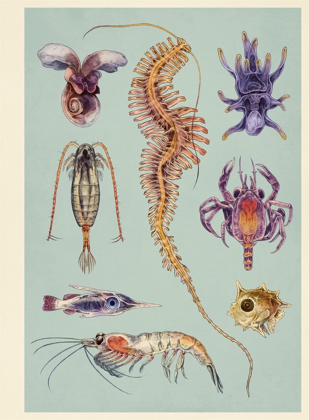 Oceanarium Poster Book: by Loveday Trinick and illustrator Teagan White