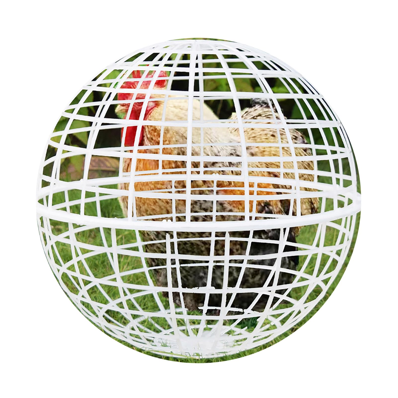 Rolling Chicken Ball Cage Detachable Chicken Ball Plastic Mesh Enclosure Chickens Orb Cage to Free Range for Hamsters Parrots